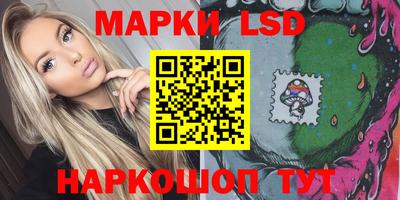 стафф Новозыбков