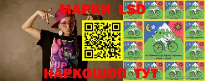 стафф Новозыбков