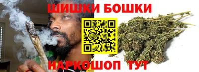 стафф Новозыбков