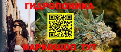 индика Новокубанск