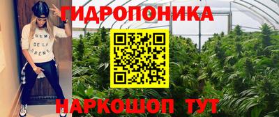 стафф Новозыбков