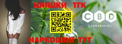 стафф Новозыбков