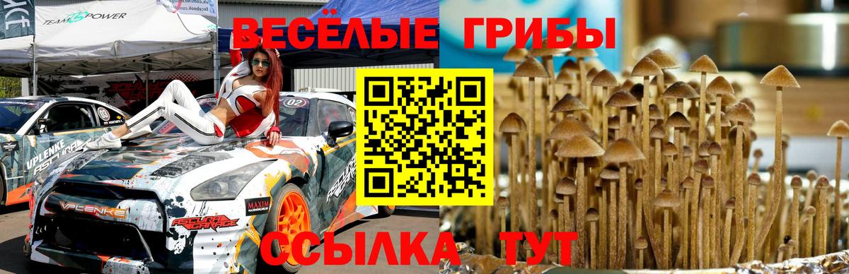 Фрязино  Галлюциногенные грибы Magic Shrooms  Вход с VPN 